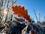 Sonne%20und%20Frost_Heike%20Hartel-Dressel-6bdcf549 Impressum 