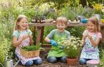 Kr&auml;uterworkshop f&uuml;r Kinder