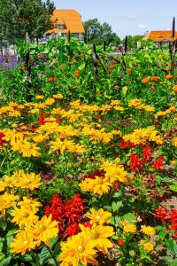 20%20Jahre%20Gartenschau%20bluhende%20Erinnerungen-aaaa8c92 Veranstaltungen 