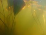 Ausstellung%20Jette%20Held%204-ae03991e Impressum 