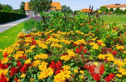 20%20Jahre%20Gartenschau%20bluhende%20Erinnerungen-ec3ecaf8 B&uuml;rger und Miniaturenpark in Wernigerode